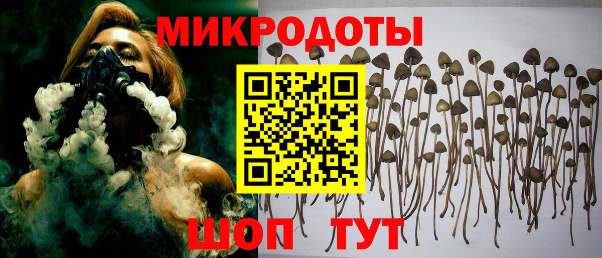 Галлюциногенные грибы ЛСД  купить наркотик  Балашов  Вход с VPN  Галлюциногенные грибы Cubensis 