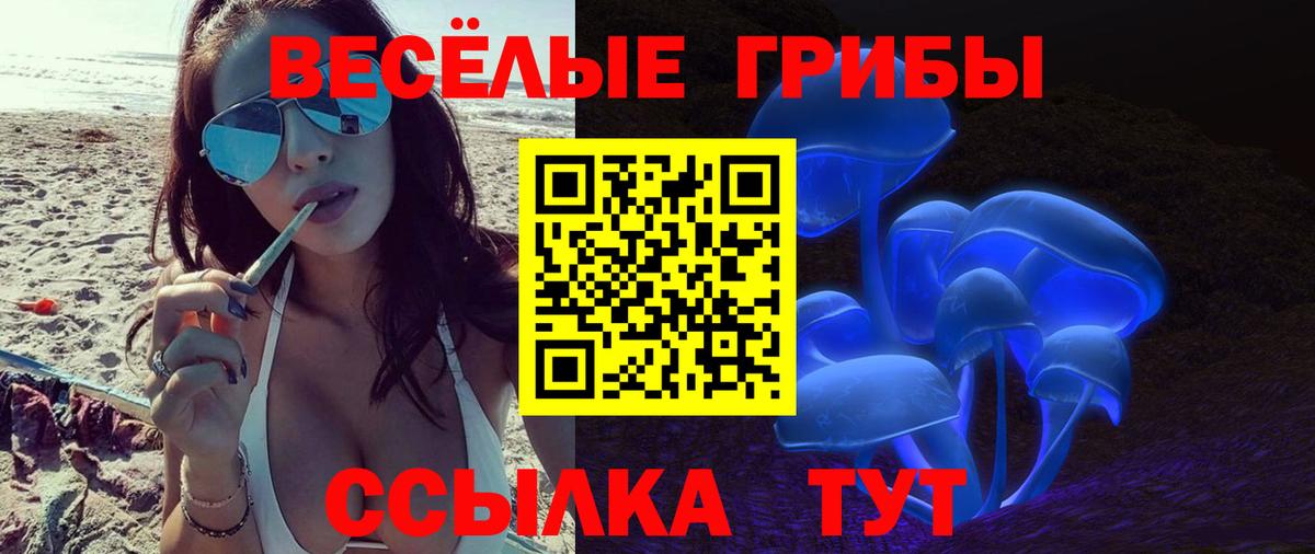 Галлюциногенные грибы GOLDEN TEACHER Балашов
